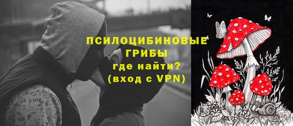 прущая мука Иннополис