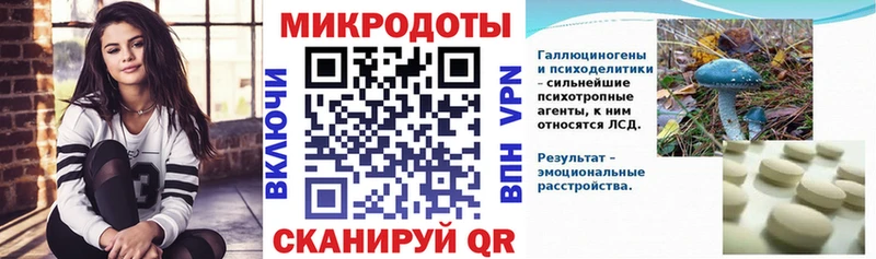Купить где  Томилино  Псилоцибиновые грибы MAGIC MUSHROOMS 